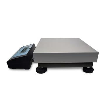 CONJ  BASCULA BAXTRAN MOD  TS